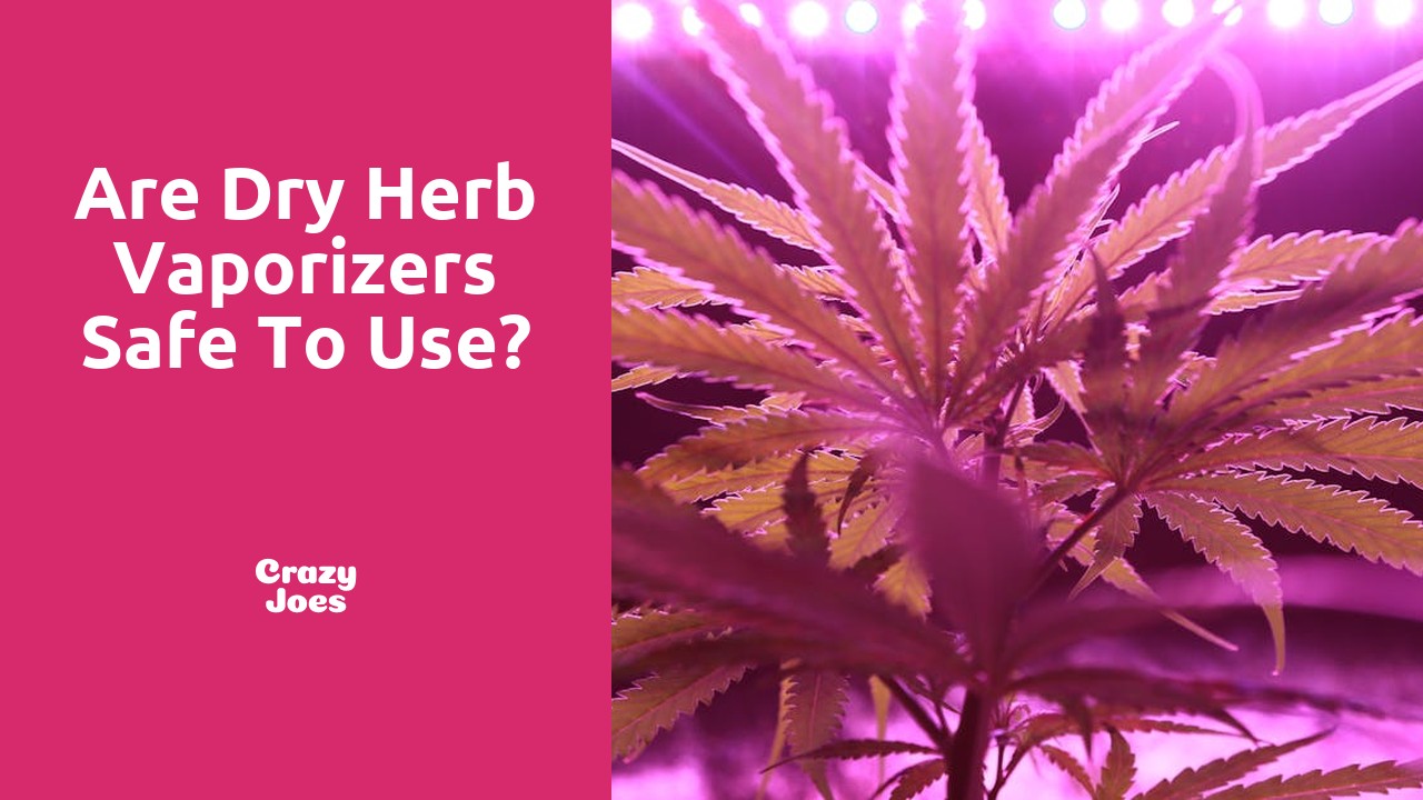 Are dry herb vaporizers safe to use?