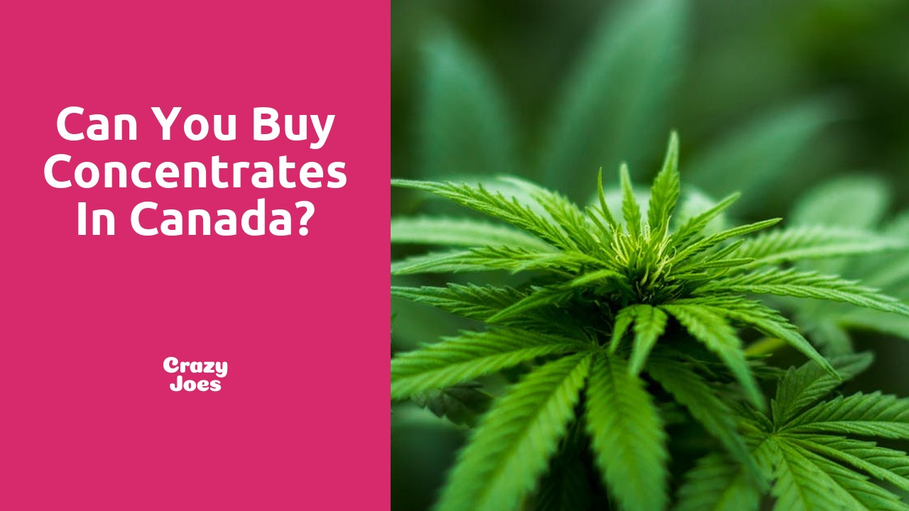 Can you buy concentrates in Canada?