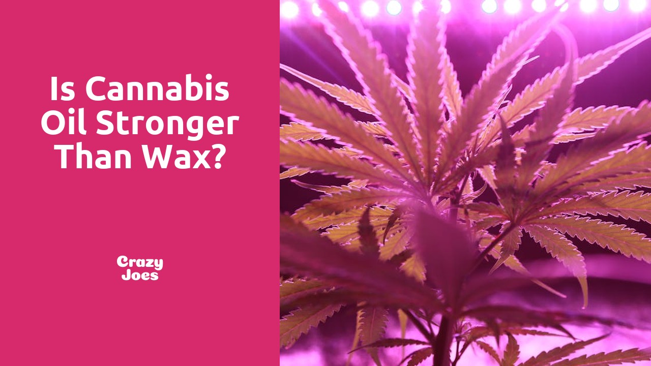 Is cannabis oil stronger than wax?