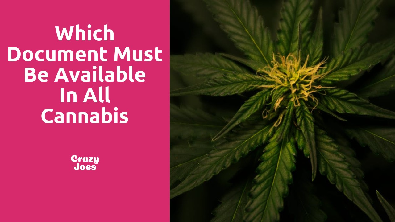 Which document must be available in all cannabis retail stores Ontario?