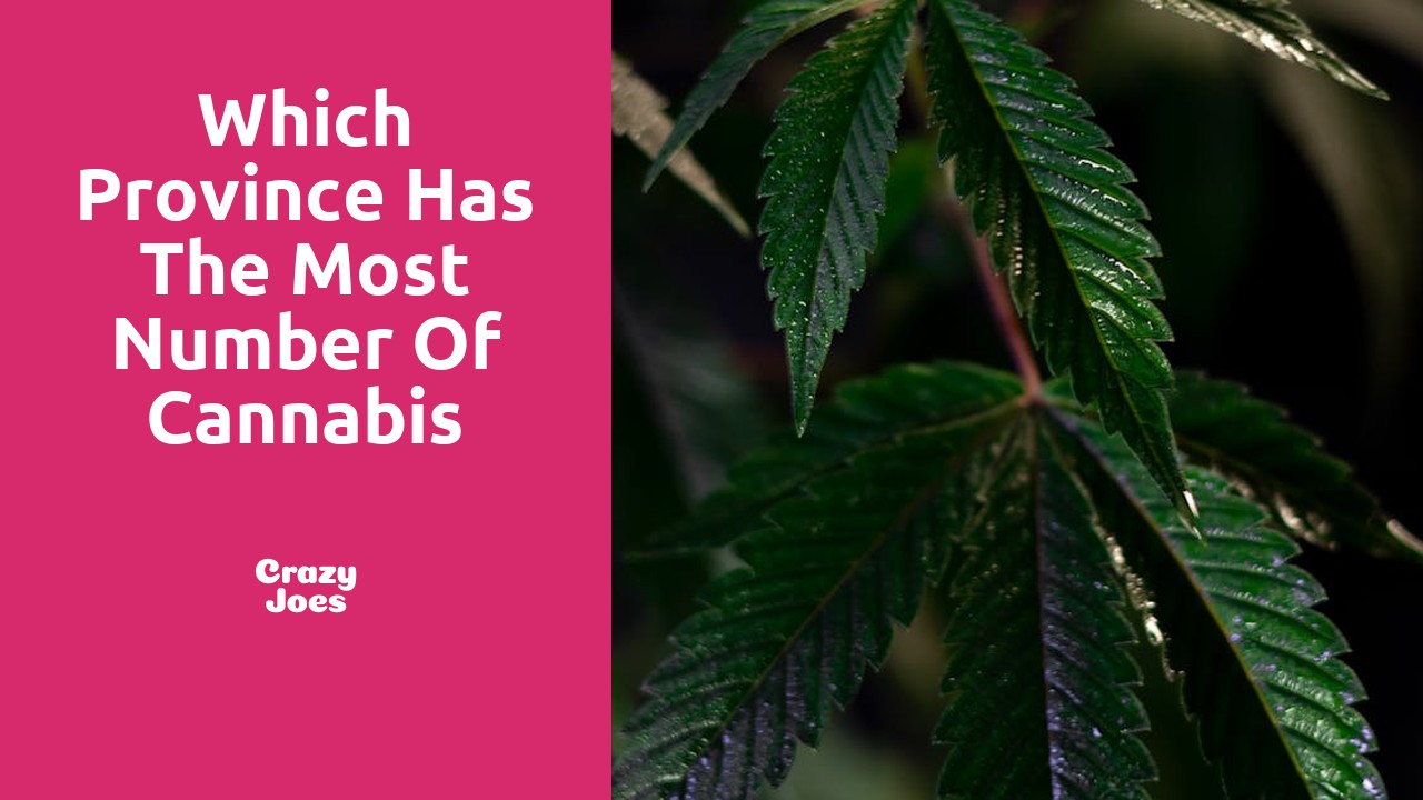 Which province has the most number of cannabis retail stores?